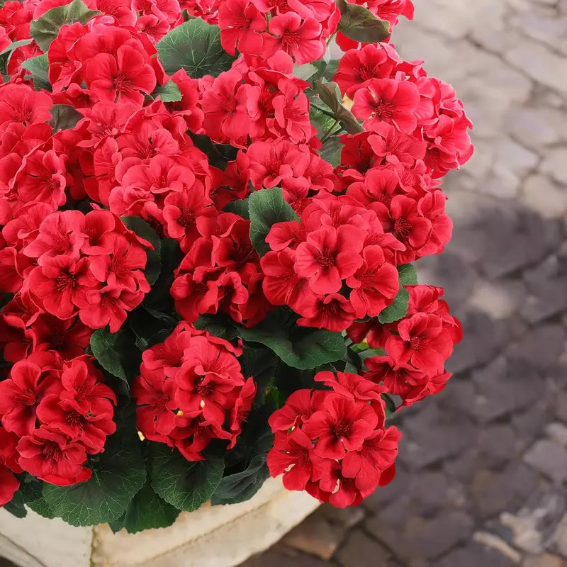 Red Artificial Geranium Flower Stems Bundle - photo 2