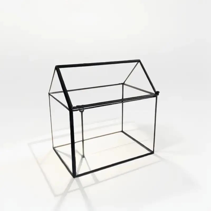 Black-Framed Glass House Terrarium with Hinged Lid