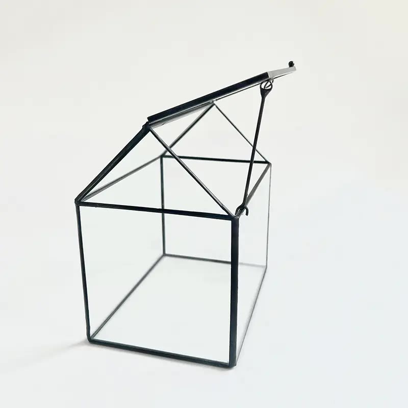 Black-Framed Glass House Terrarium with Hinged Lid - photo 3