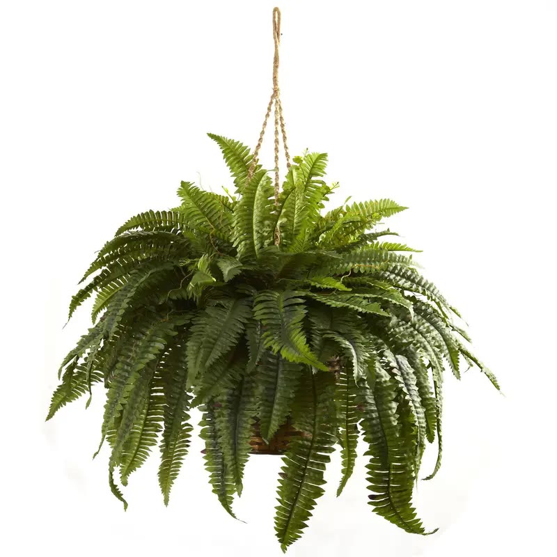 Artificial Boston Fern Hanging Basket With Rope Hanger - photo 4