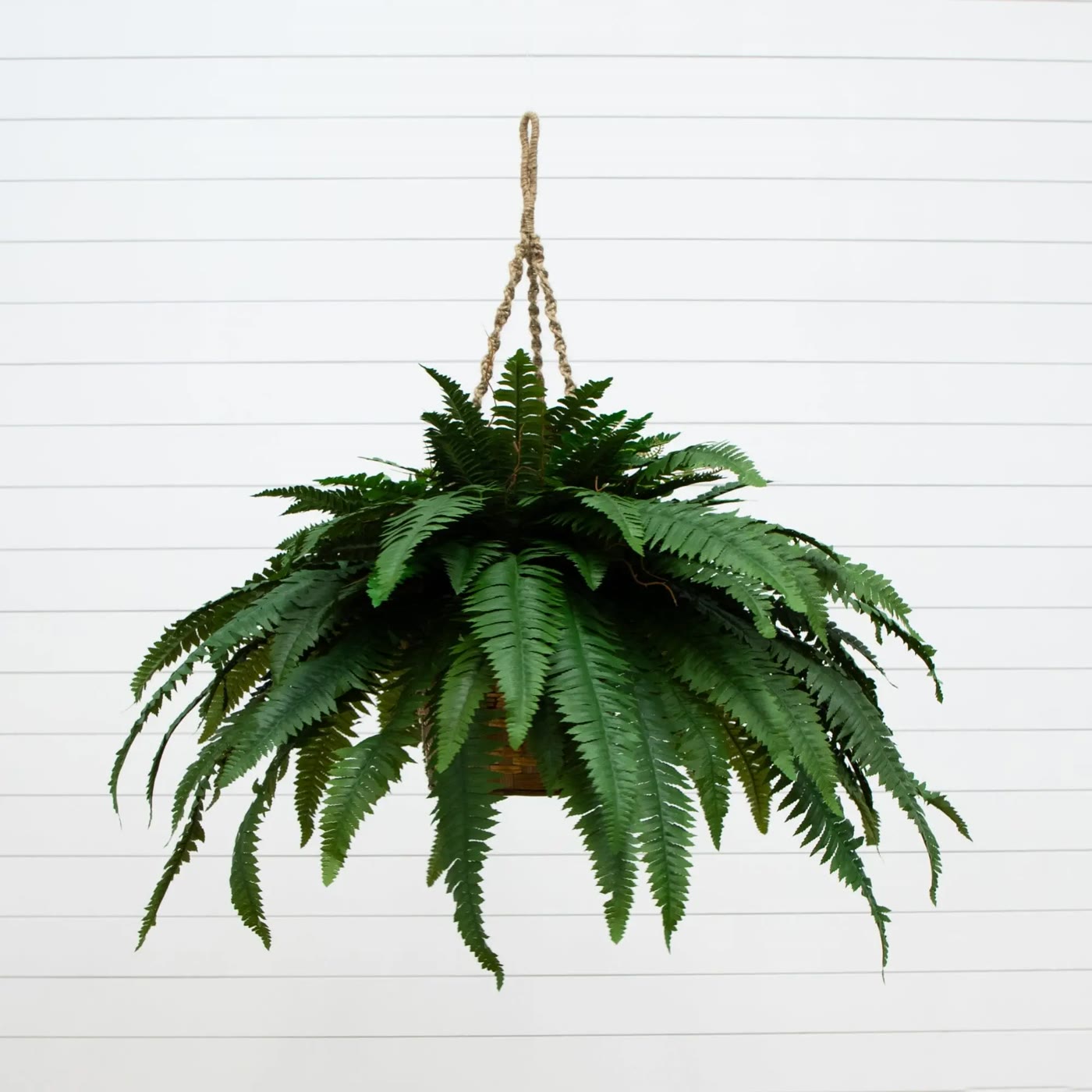 Artificial Boston Fern Hanging Basket With Rope Hanger