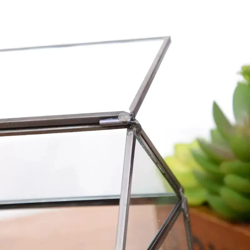 Black-Framed Glass House Terrarium with Hinged Lid - photo 4